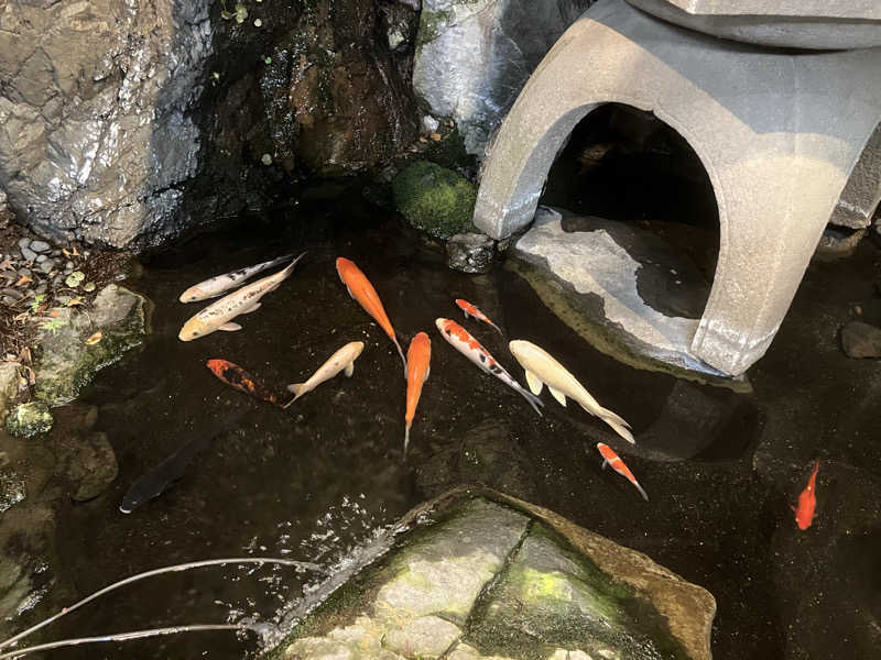 宇宙さんの長者湯のサ活写真