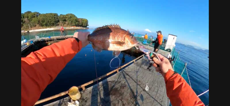 なかむ〜さんのはだの・湯河原温泉 万葉の湯のサ活写真