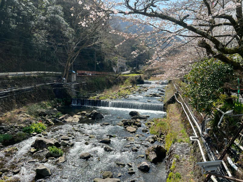 なかむ〜さんの箱根湯本温泉 天成園のサ活写真