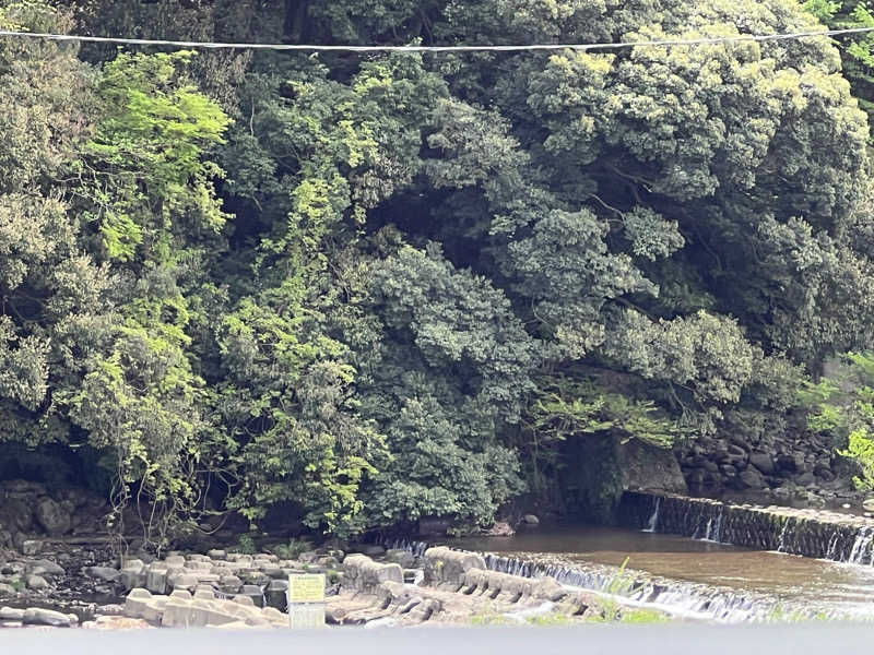 なかむ〜さんの山賊サウナ&ホルモンのサ活写真