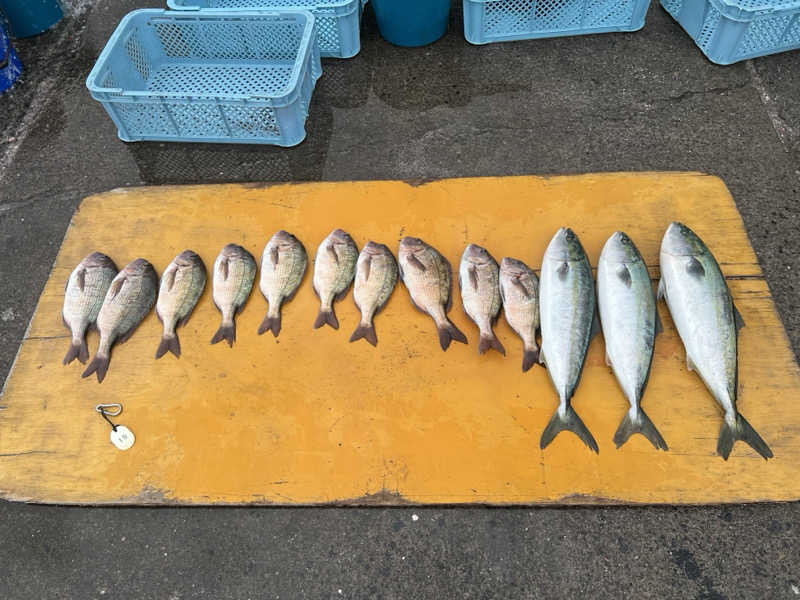 なかむ〜さんの沼津・湯河原温泉 万葉の湯のサ活写真