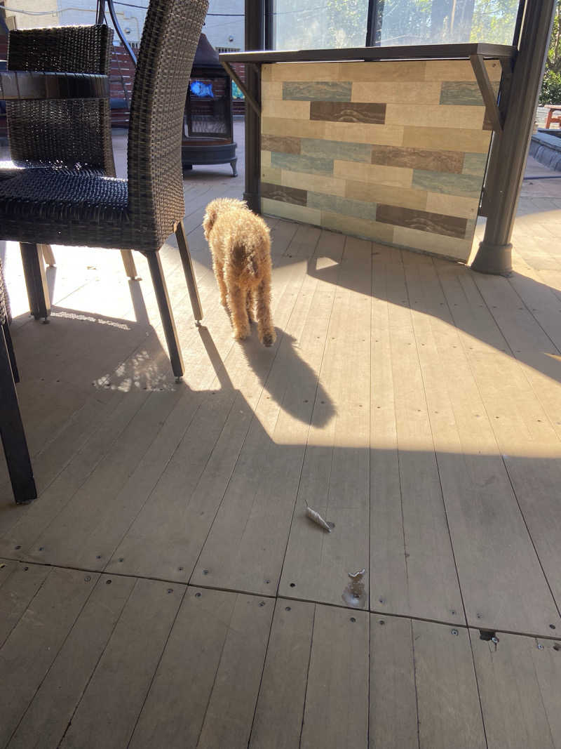 🚤つのだえみか🚤さんの八街ヴィラのサ活写真