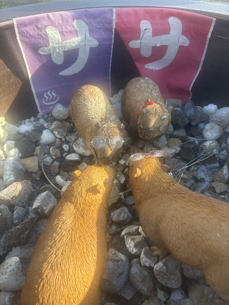 ボンドNo.8さんの富士山天然水SPA サウナ鷹の湯のサ活写真