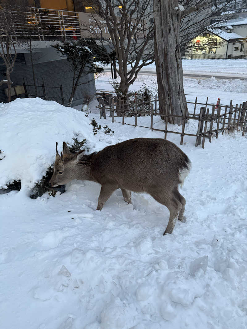 KOさんの登別温泉 登別グランドホテルのサ活写真