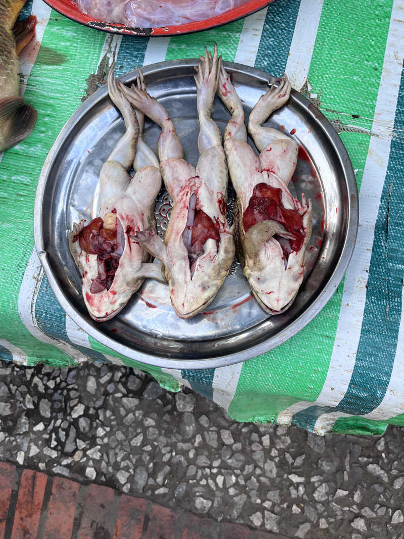 ダニエルミヤジ（仮）さんのLemongrass Sauna & Lao Traditional Massageのサ活写真