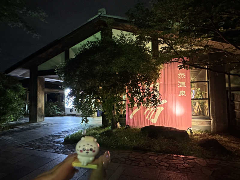 メロンソーダさんの天然温泉 真名井の湯 大井店のサ活写真