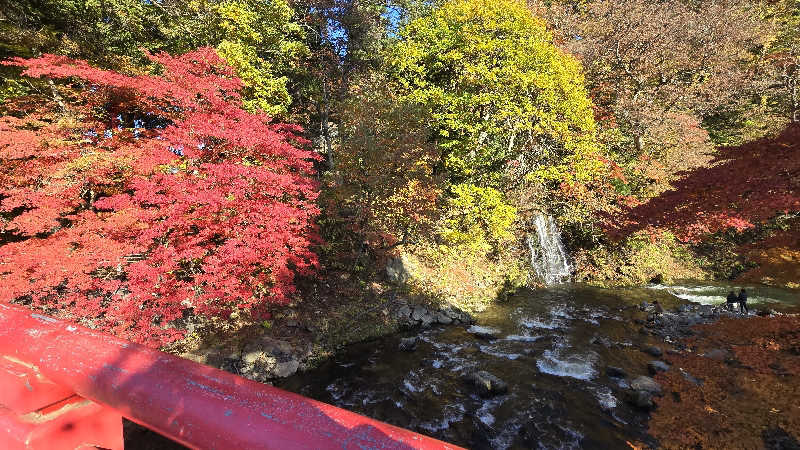 はなびぃさんの境関温泉のサ活写真