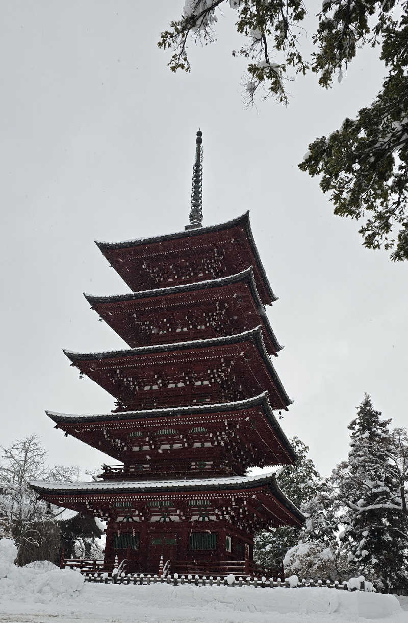 はなびぃさんの岩木桜の湯 ドーミーイン弘前のサ活写真