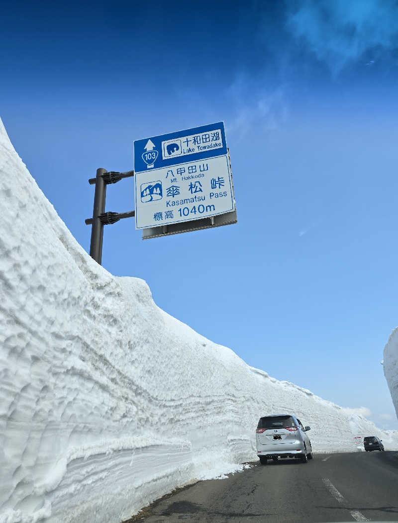 はなびぃさんのホテルポニー温泉のサ活写真