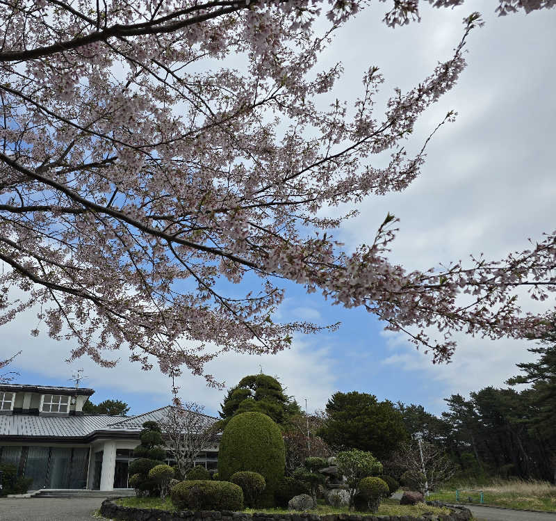 はなびぃさんのおおま温泉 海峡保養センターのサ活写真