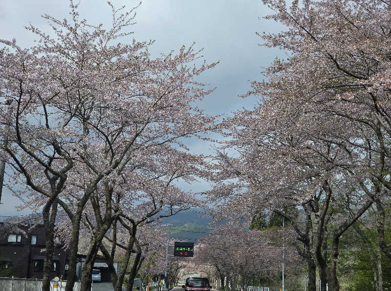 はなびぃさんのおおま温泉 海峡保養センターのサ活写真