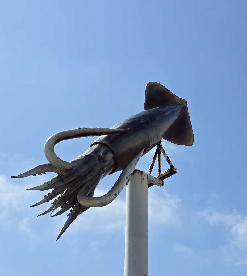はなびぃさんのおおま温泉 海峡保養センターのサ活写真