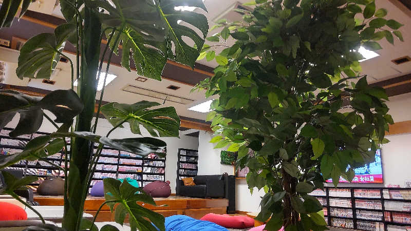 seiuchiiiiiさんの薬湯市原店のサ活写真