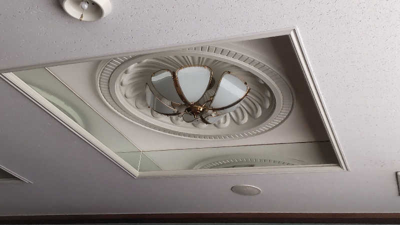 seiuchiiiiiさんのサウナ&カプセルホテルニュー小岩310のサ活写真