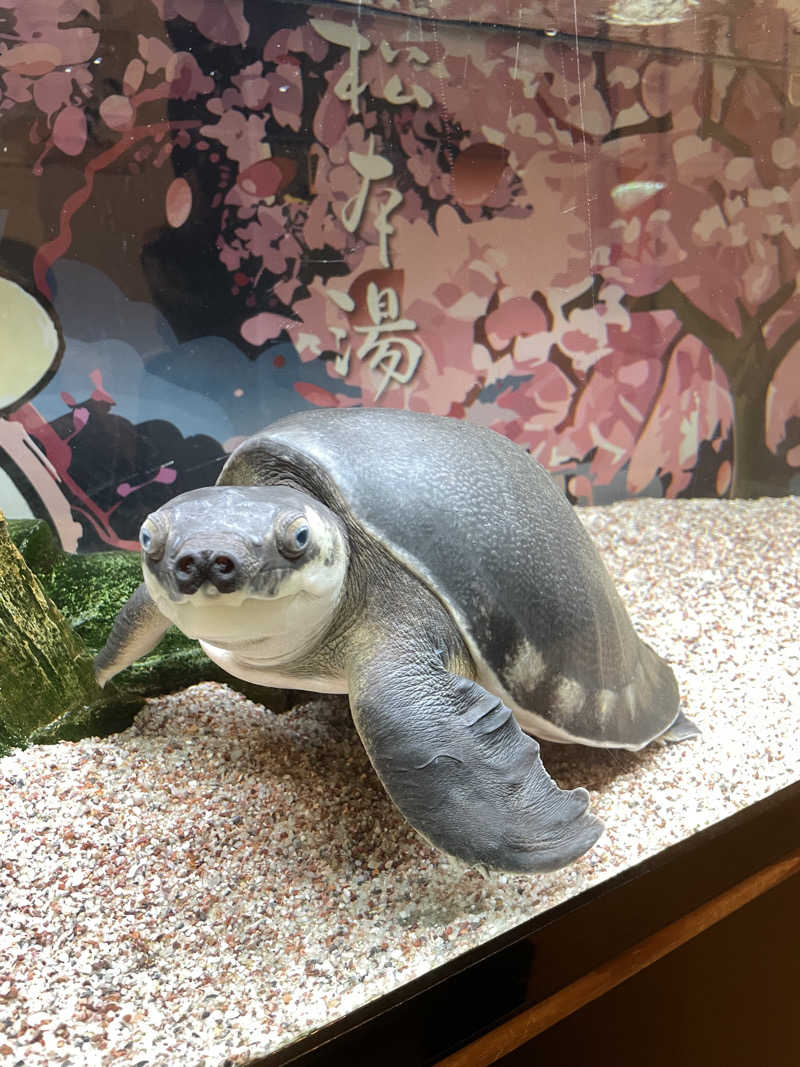 リドルさんの松本湯のサ活写真