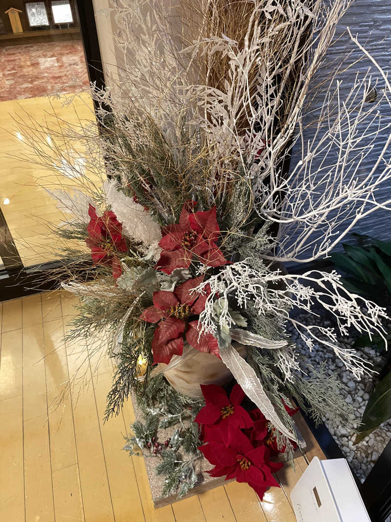 リドルさんの天然温泉きぬの湯のサ活写真