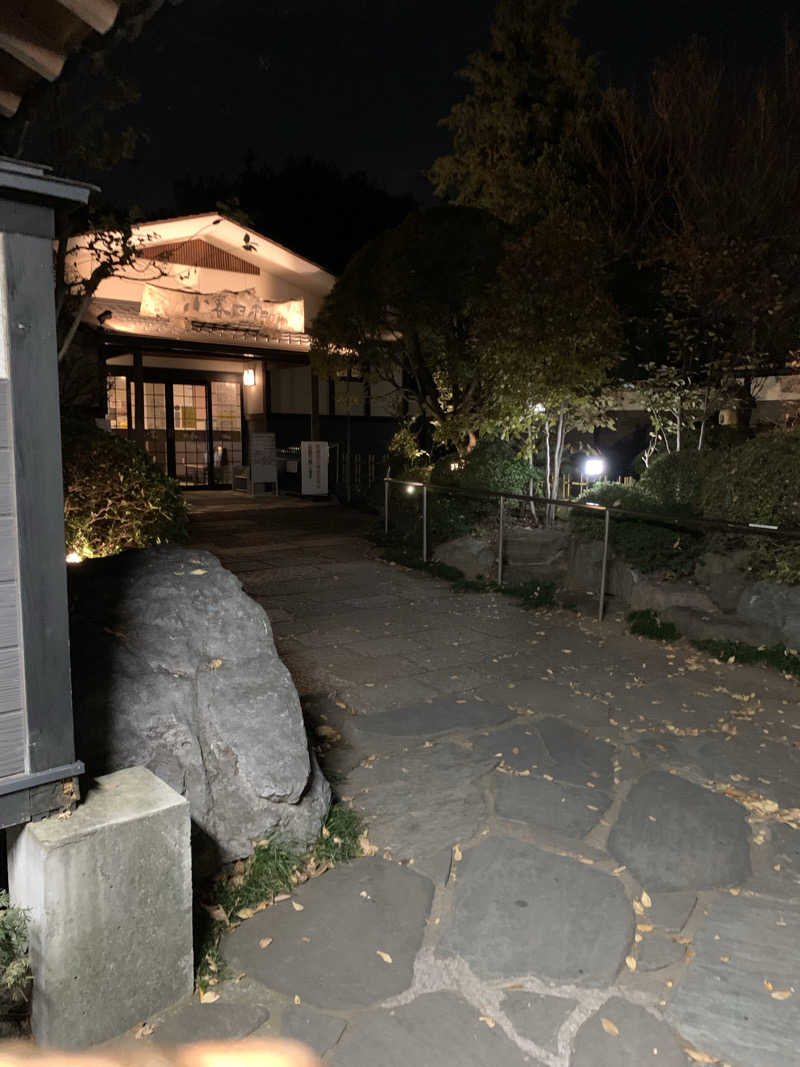 ダンツさん🧖‍♂️さんの見沼天然温泉 小春日和のサ活写真