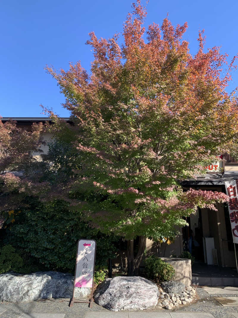 ダンツさん🧖‍♂️さんの花湯スパリゾートのサ活写真