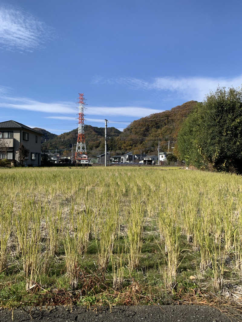 ダンツさん🧖‍♂️さんの山梨泊まれる温泉 より道の湯のサ活写真