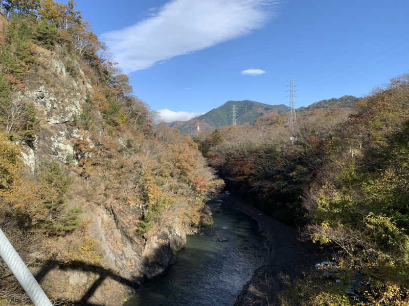 ダンツさん🧖‍♂️さんの山梨泊まれる温泉 より道の湯のサ活写真