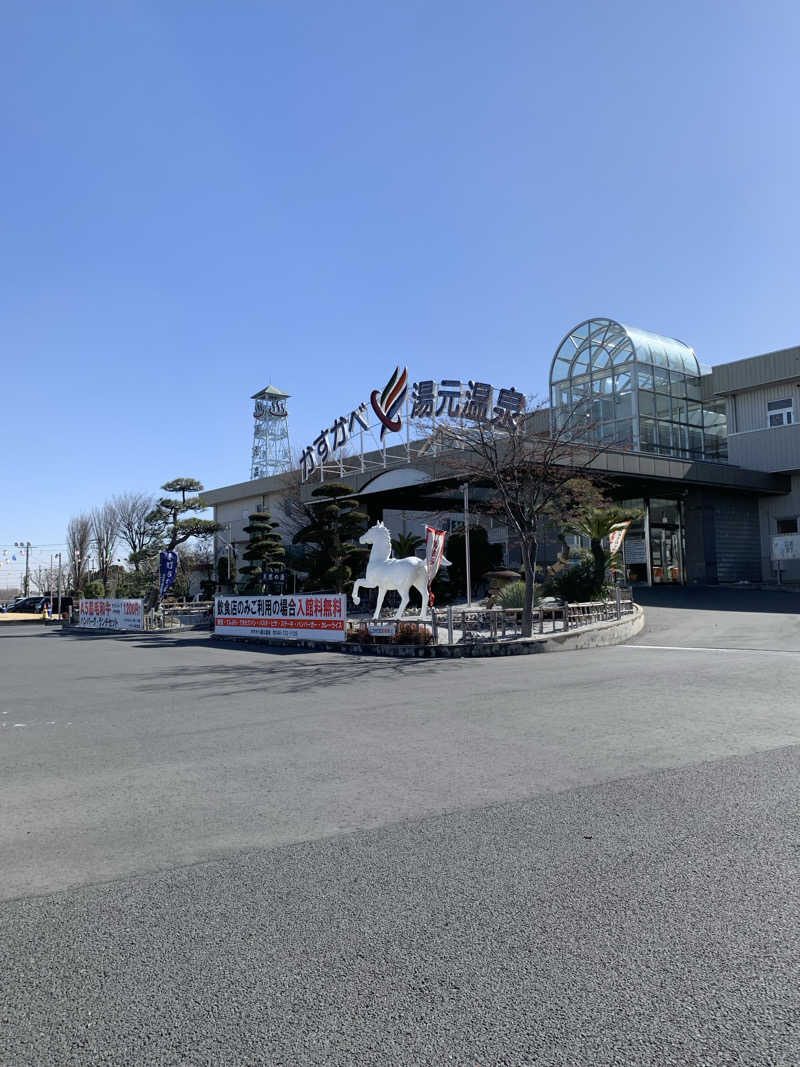 ダンツさん🧖‍♂️さんのかすかべ湯元温泉のサ活写真