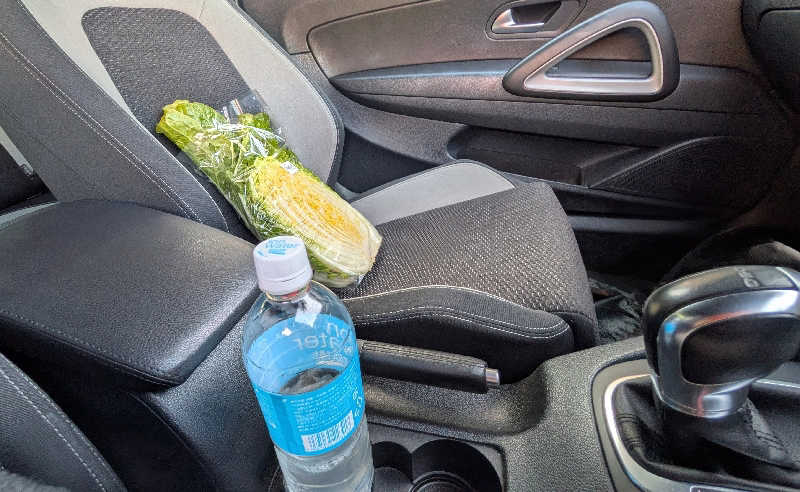 komさんの朝日湯源泉ゆいるのサ活写真