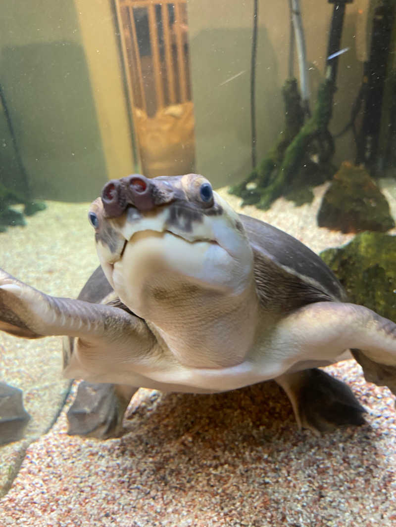 サーコさんの松本湯のサ活写真