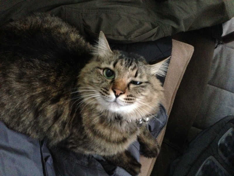 captain877さんの極楽湯 豊橋店のサ活写真