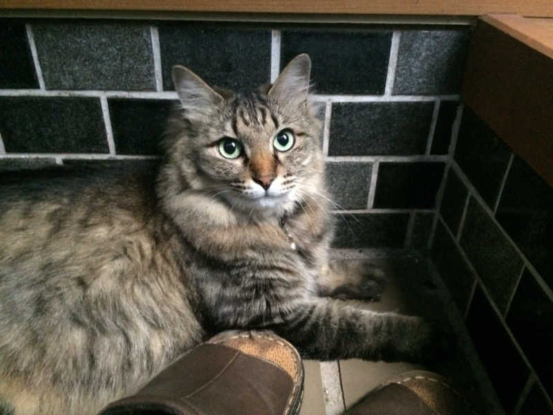 captain877さんのホテル シーパレスリゾート アクアの湯 BALIのサ活写真