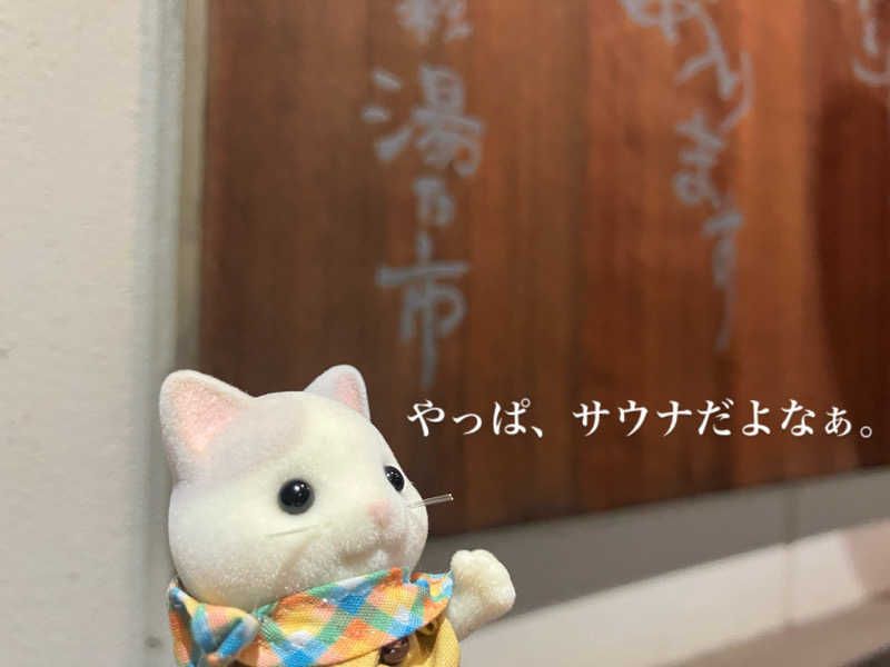 かままさんの湯乃市 藤沢柄沢店のサ活写真