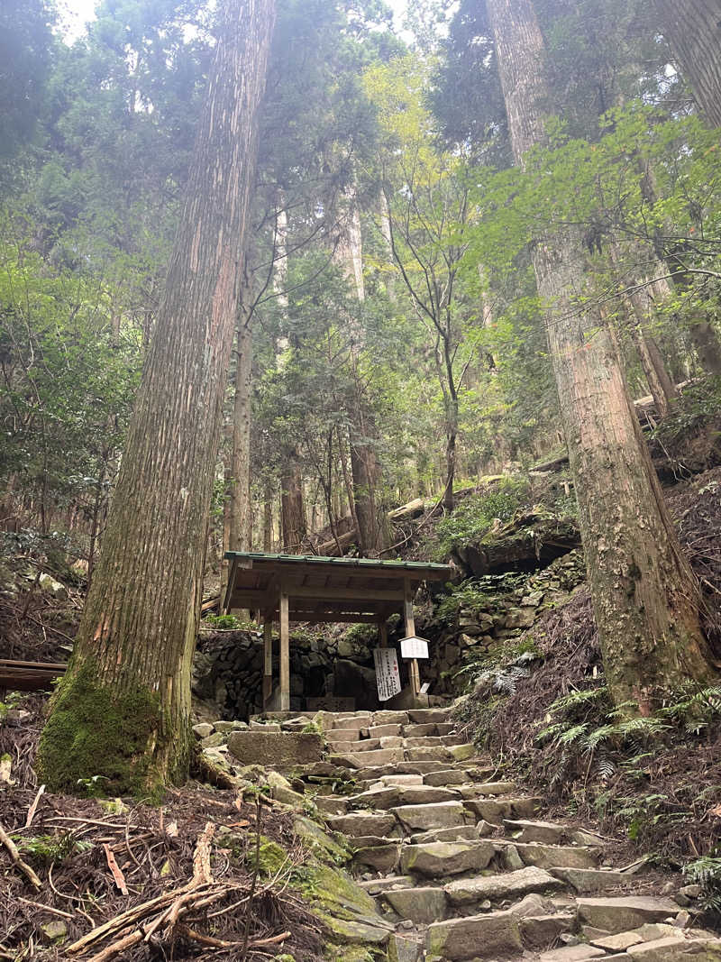 momoさんの天然温泉 本宮の湯のサ活写真