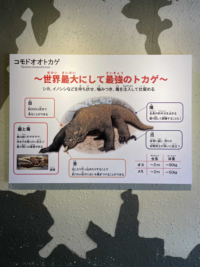 nanacoさんのまるはごんぎつねの湯のサ活写真