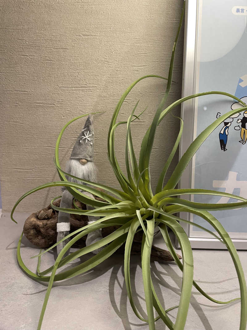 nanacoさんのSAUNA&HOTEL Suuh スゥのサ活写真