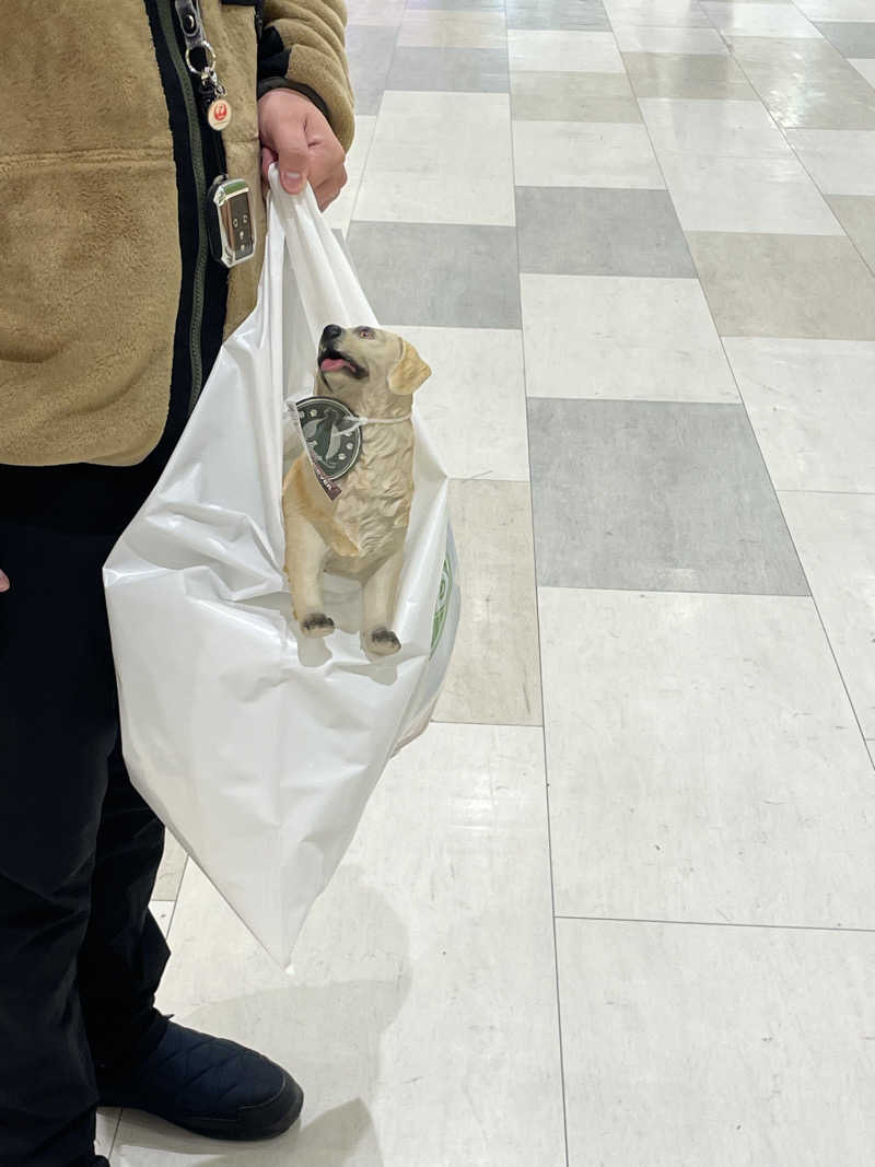 nanacoさんのまるはごんぎつねの湯のサ活写真