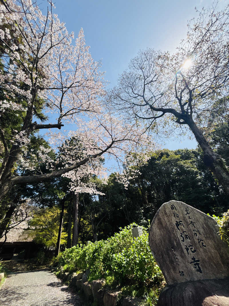 ぺぺさんの東大寺別院阿弥陀寺 石風呂のサ活写真