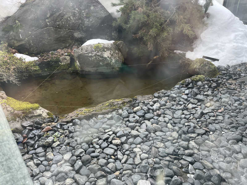 諫早のやわらちゃんさんのあおもり健康ランドのサ活写真