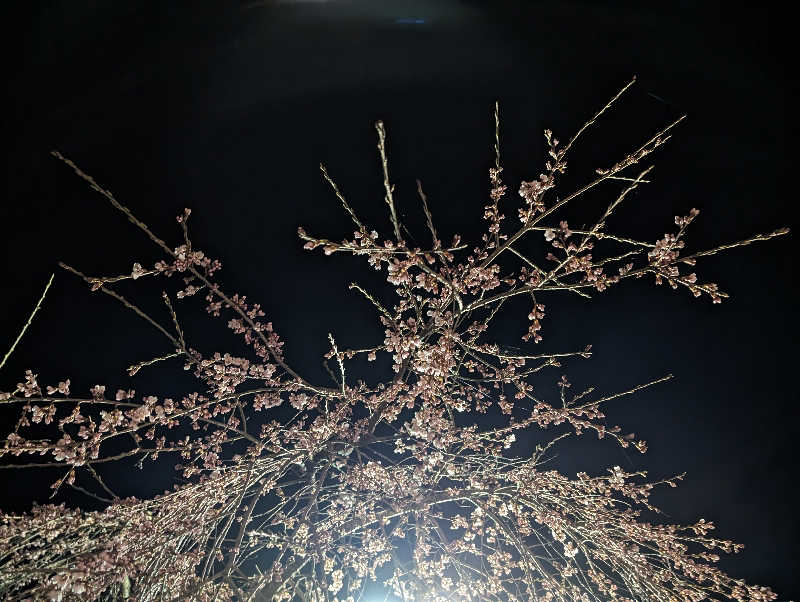 ハルイチさんの水沢温泉館のサ活写真