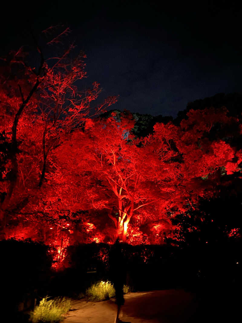 megumiさんの御船山楽園ホテル  らかんの湯のサ活写真