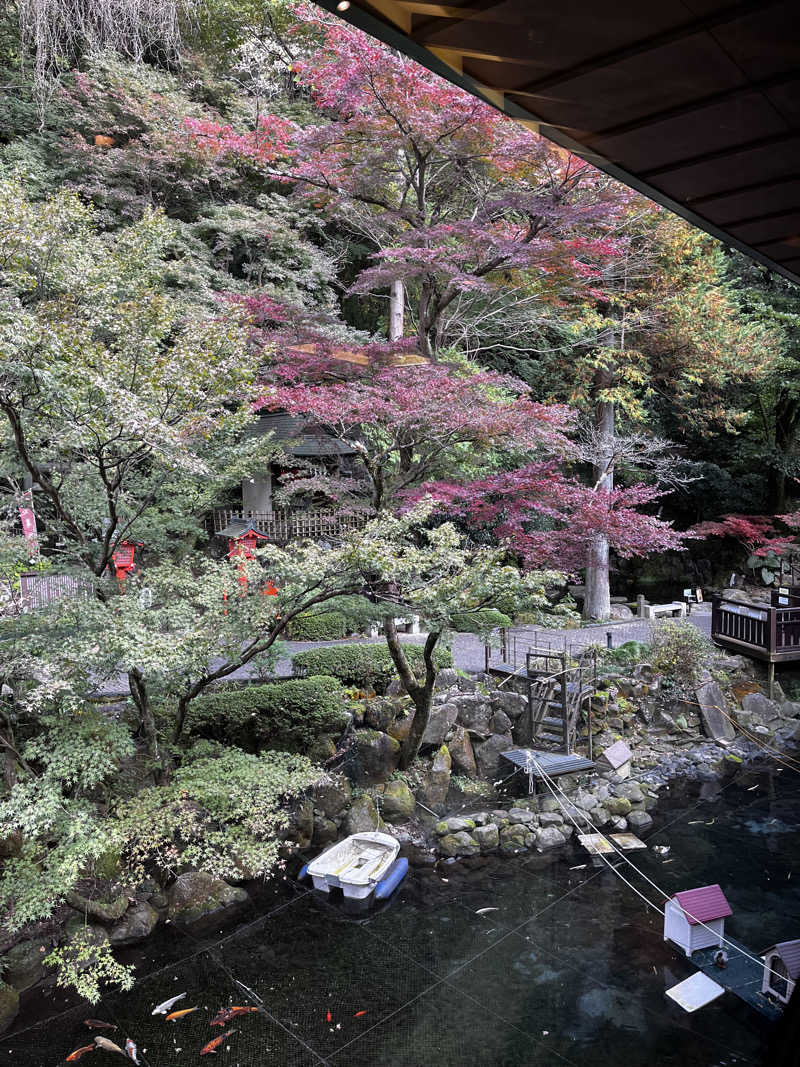 no SAUNA,no lifeさんの箱根湯本温泉 天成園のサ活写真