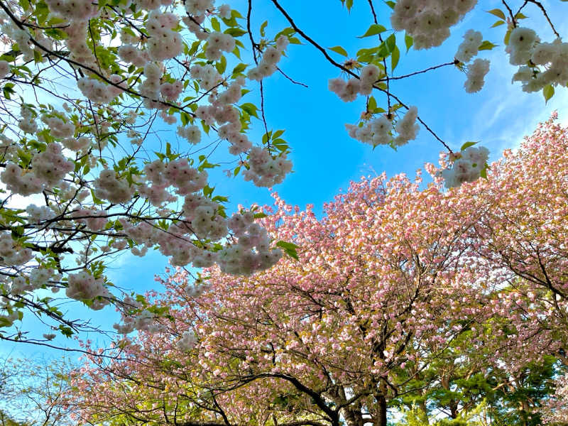 ASAunaさんの定住促進センター「国花苑」のサ活写真