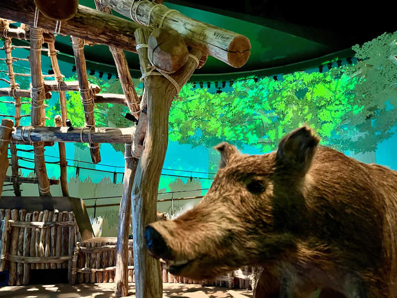 ASAunaさんの奥中山高原温泉 煌星の湯のサ活写真