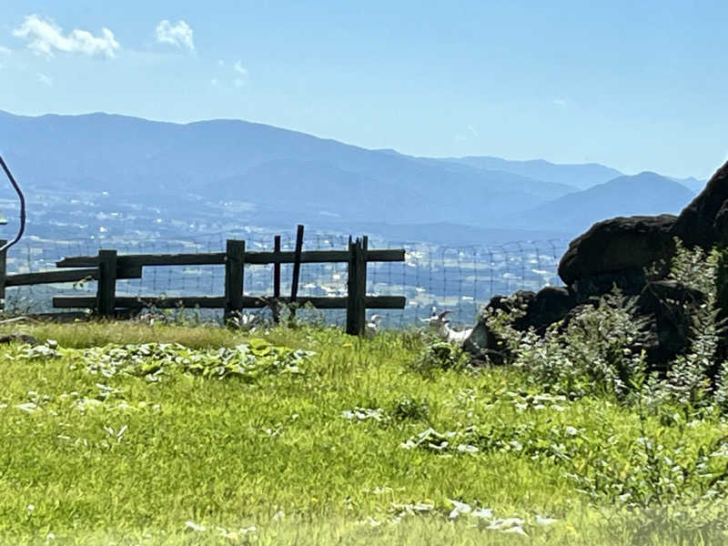 ASAunaさんの網張温泉 ありね山荘のサ活写真