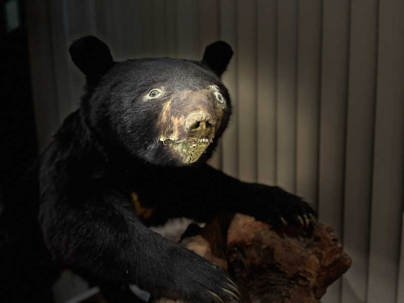 ASAunaさんのユフォーレのサ活写真