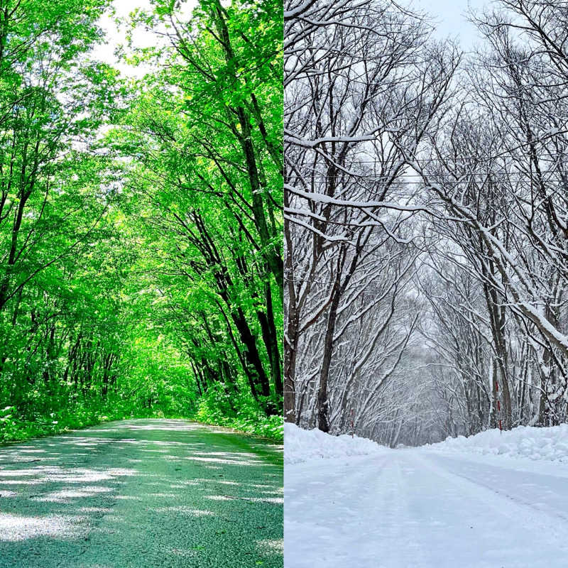 ASAunaさんの網張温泉 ありね山荘のサ活写真
