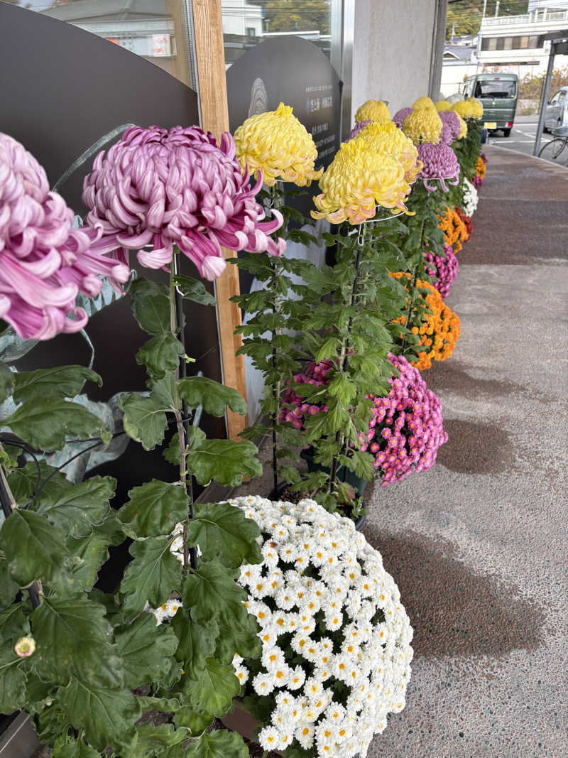 🐱🍜さんのたかのこの湯(たかのこのホテル)のサ活写真