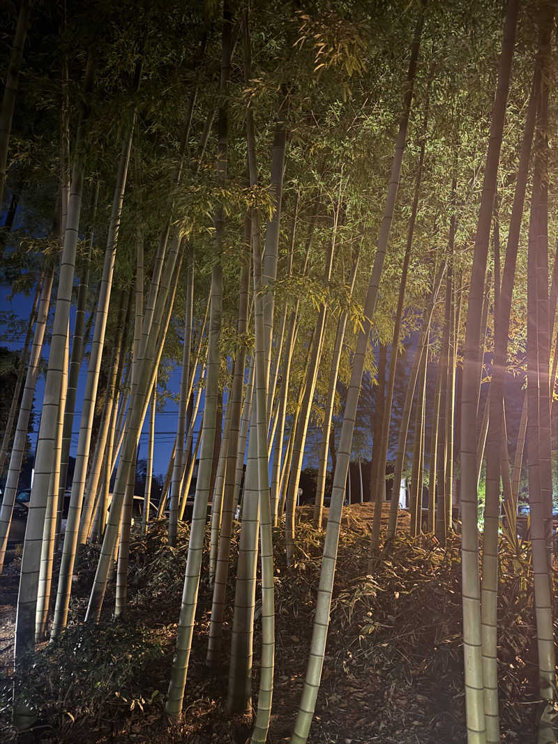 Moon🌙さんの所沢温泉 湯楽の里のサ活写真