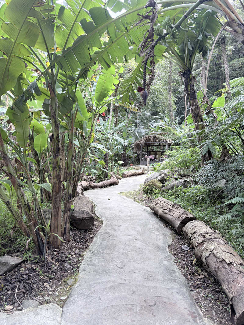 takumaさんの亜熱帯サウナのサ活写真