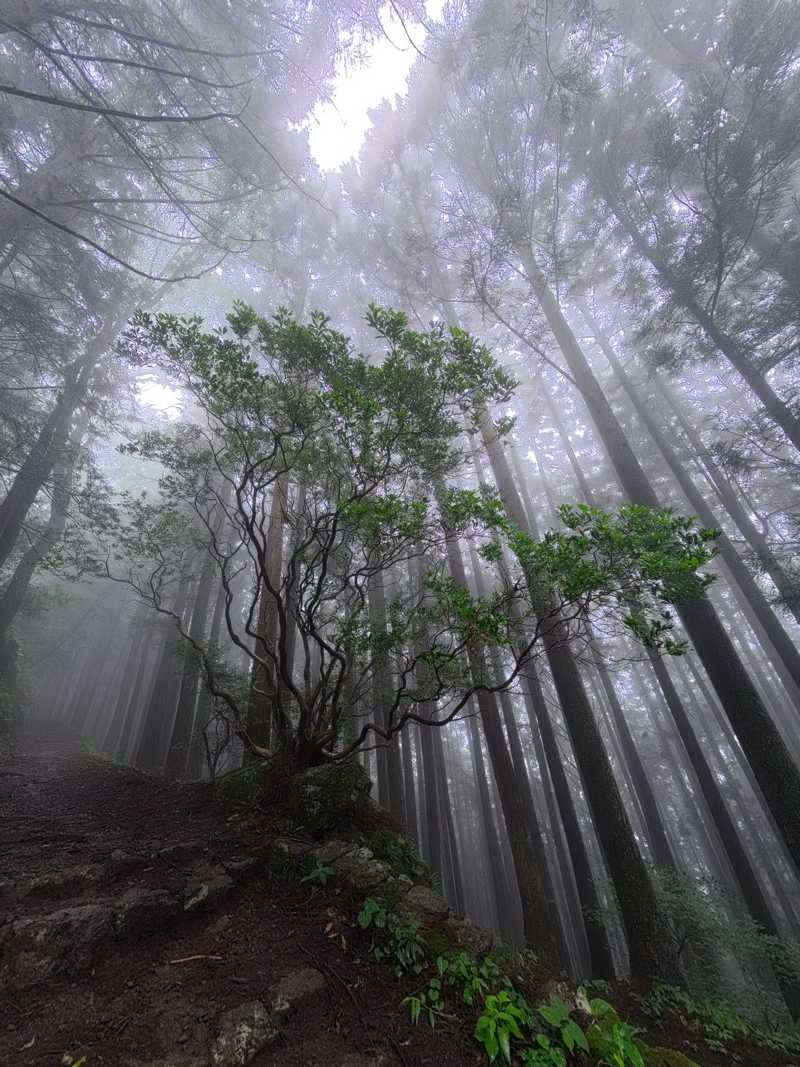 力レ一さんの生涯青春の湯 つるつる温泉のサ活写真