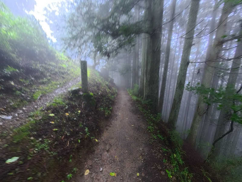 力レ一さんの生涯青春の湯 つるつる温泉のサ活写真
