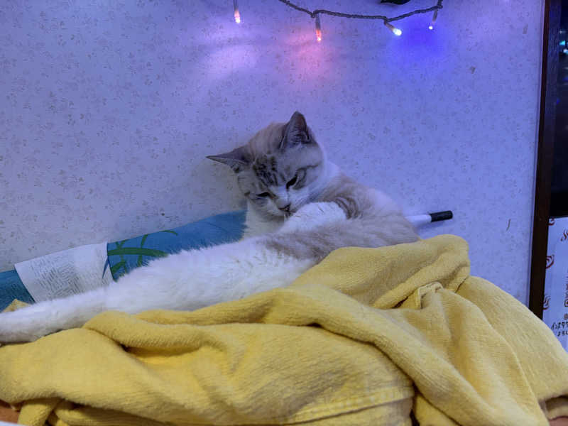 himakoさんのお湯どころ野川のサ活写真